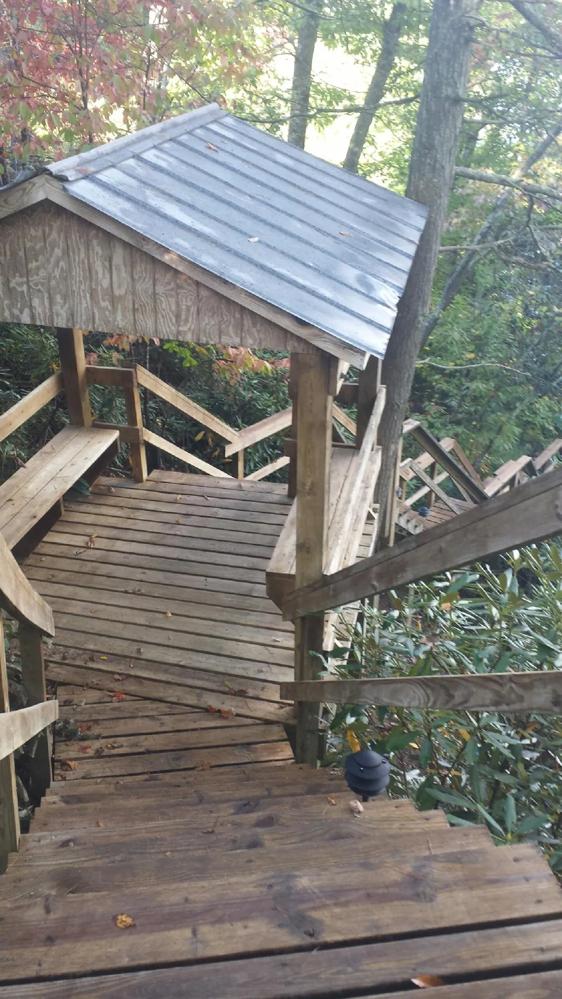 Metal roofed shelter over wooden steps on a wooded walkway — Skylight Repair & Installation work by our crew in Norwood